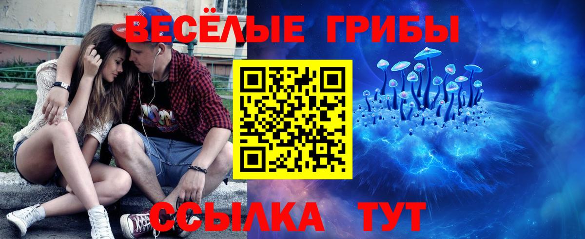 Псилоцибиновые грибы ЛСД Отрадное